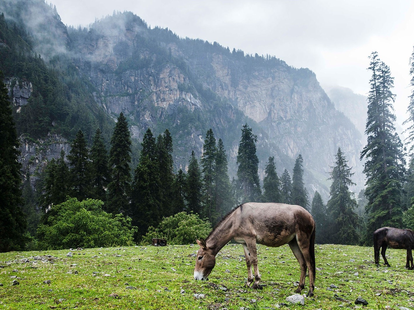 Magical Himachal SMHI