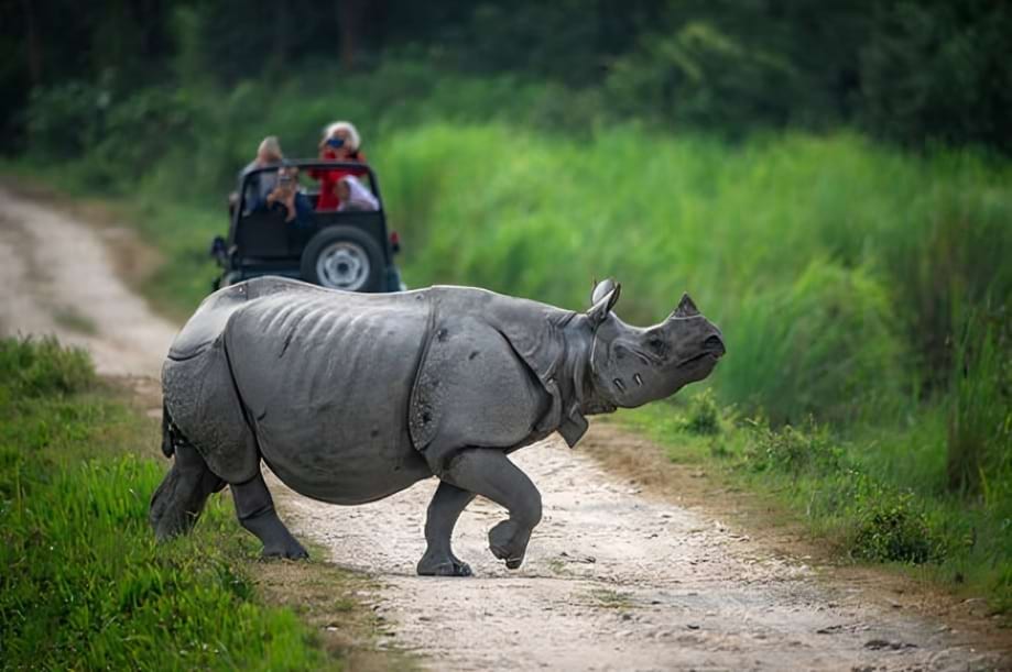 Pocket North East from Chennai