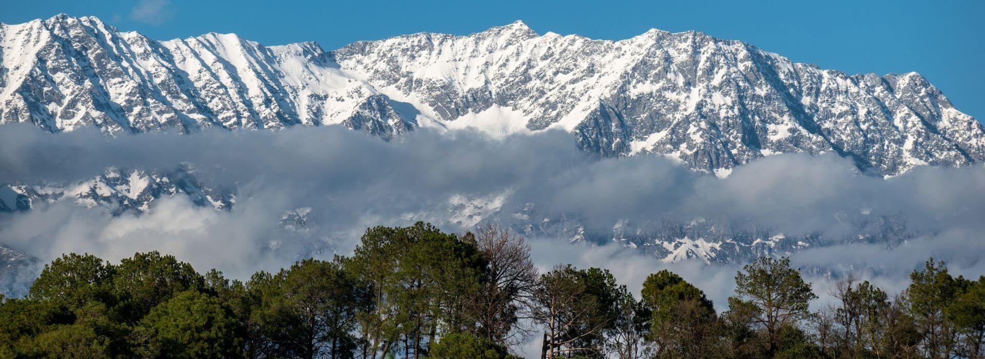 Manali with Dharamshala & Triund from Chennai
