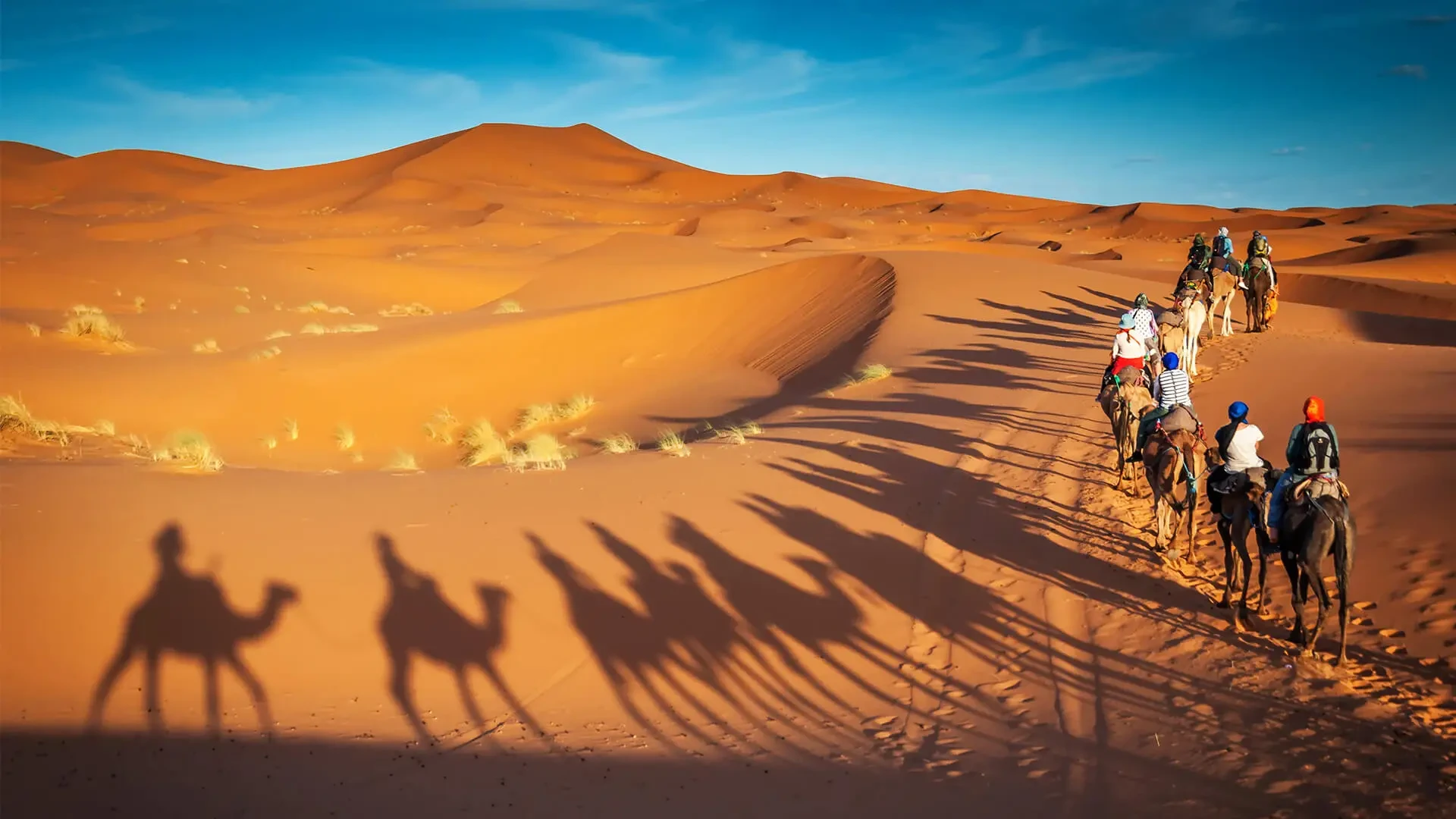 Magical Rajasthan From Jaipur