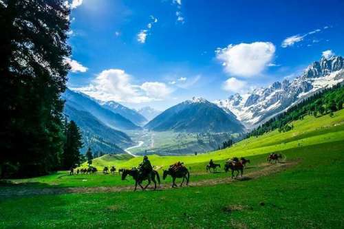 trip to kashmir package